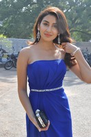 Parul Gulati Gallery